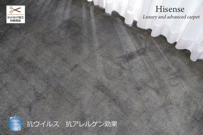 抗ウイルス、抗アレルゲン高機能カーペット Hisence P2000