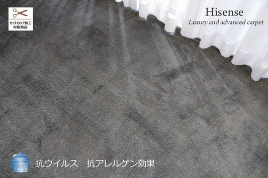 抗ウイルス、抗アレルゲン高機能カーペット Hisence P2000